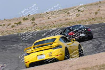 media/Apr-03-2022-CCCR Porsche (Sun) [[45b12865df]]/2-yellow/Session 2 Turn 5/